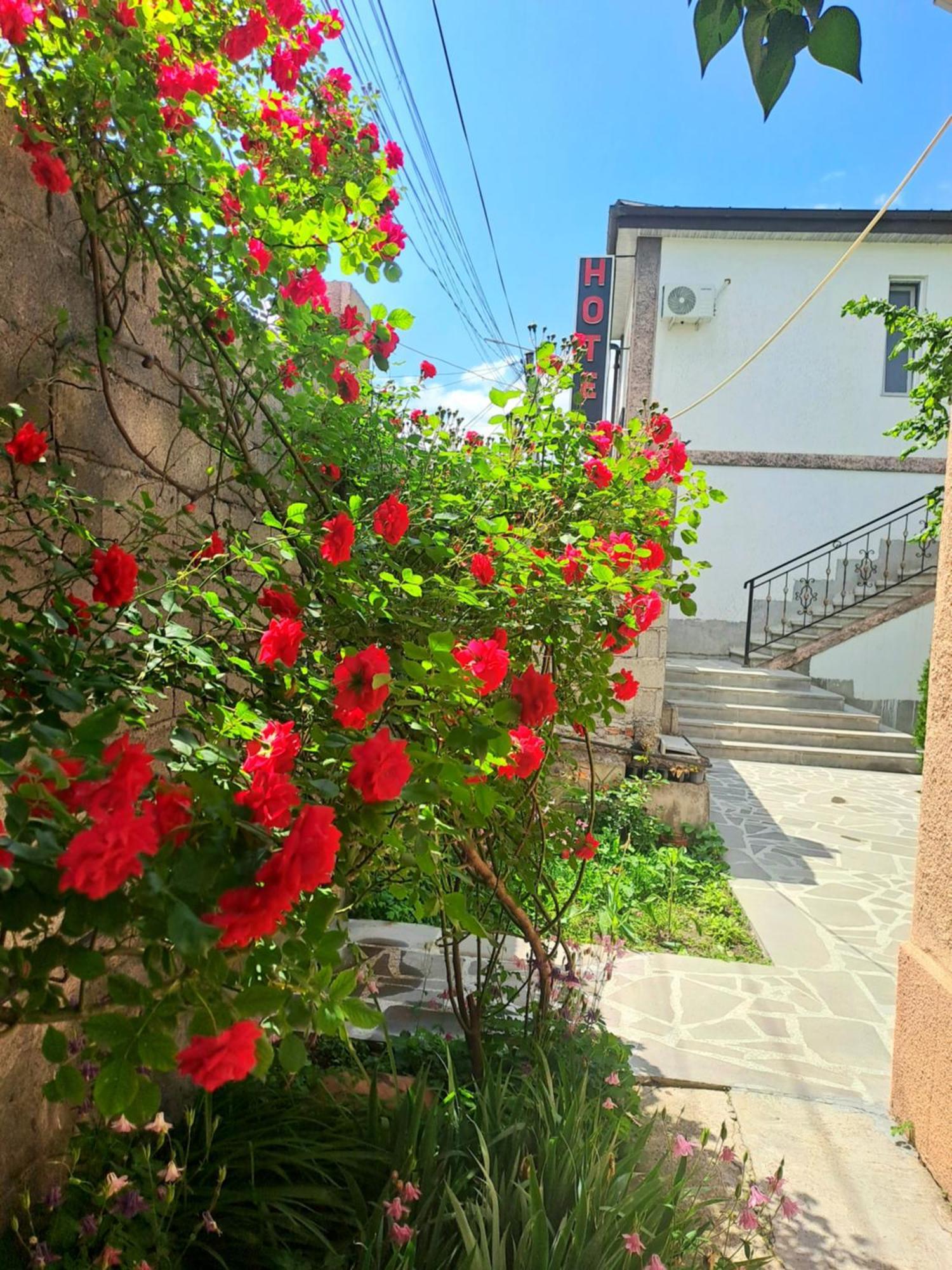 Guest House "Akhaltsikhe" Esterno foto